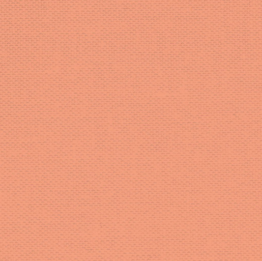 Devonstone Solids - Protea